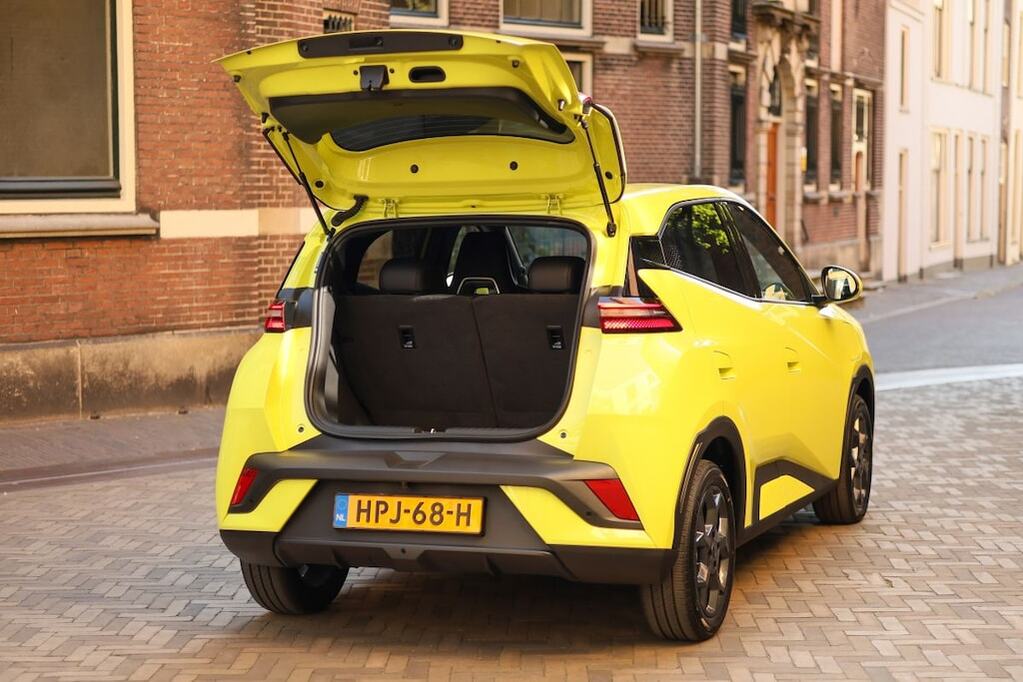 Byd Dolphin Surf