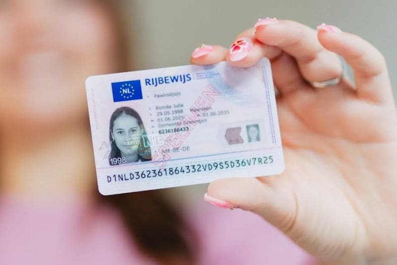 Driver's License 2025