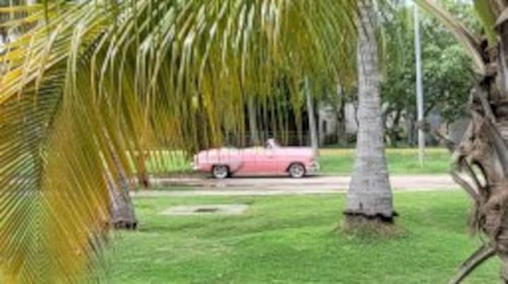 Cuba Cars