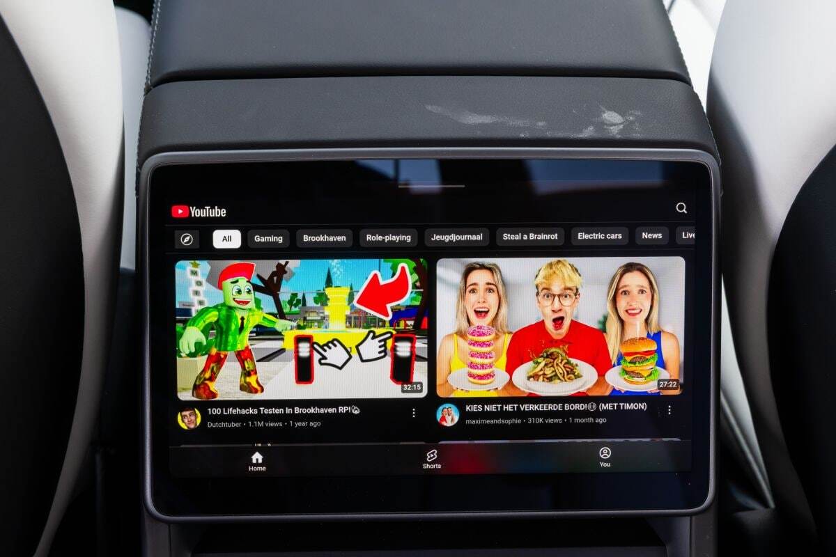 Tesla Model Y Performace