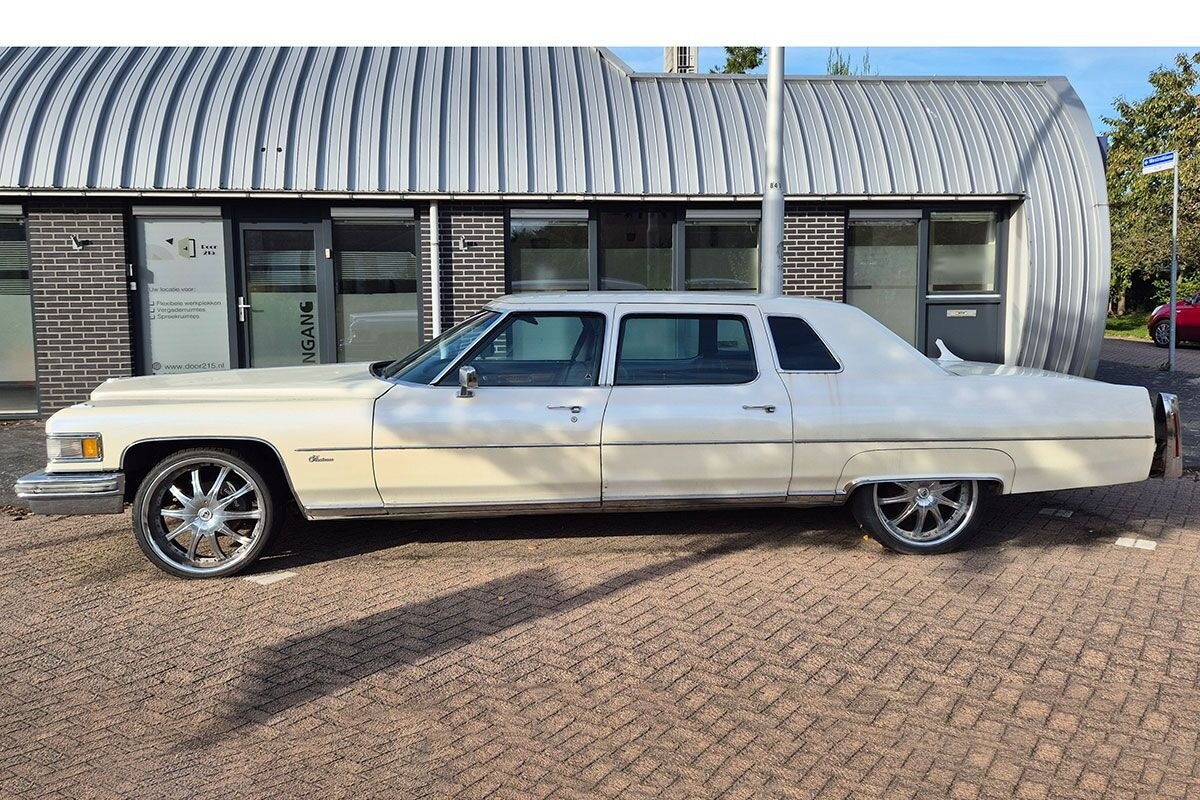 Cadillac Series 75 In the Wild