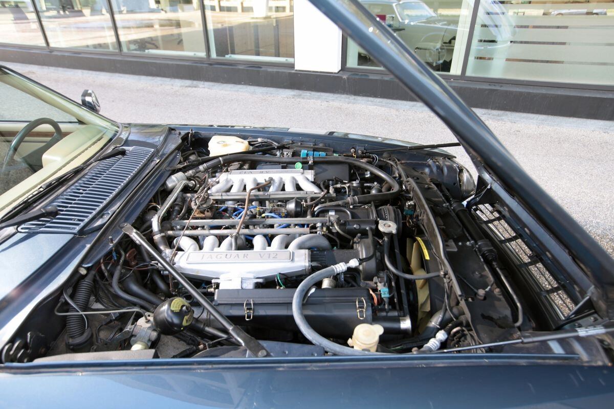 Jaguar XJS Lynx Eventer